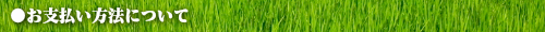お支払い方法について