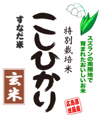 平成25年産新米コシヒカリ玄米