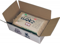 新米コシヒカリ玄米