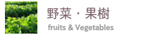 野菜と果樹